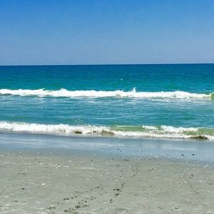 Meet your Posher, Joni